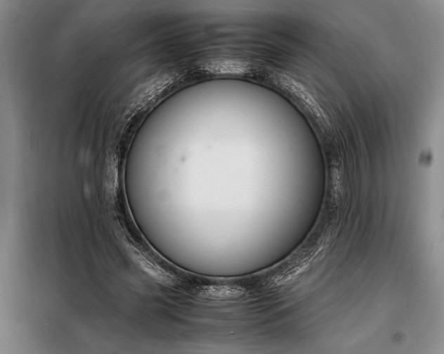 X0000098190541200805011125