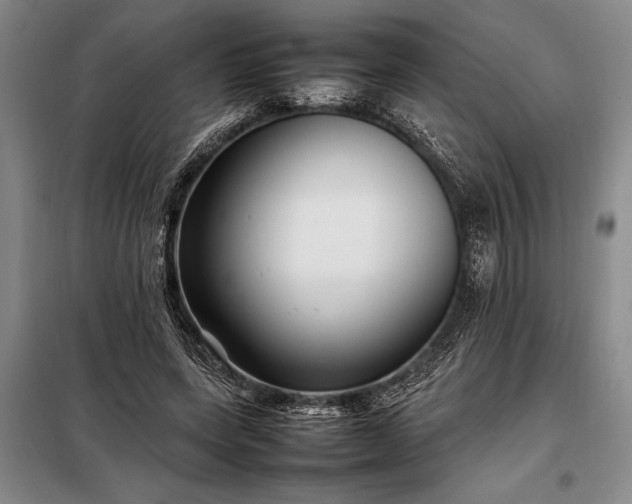 X0000098190543200805011125