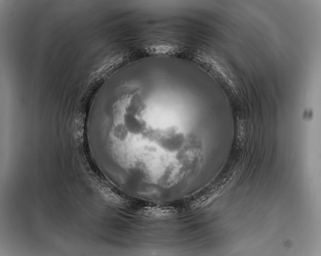 X0000098190545200805011126