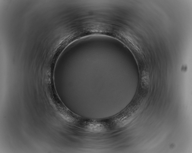 X0000098190547200805011126