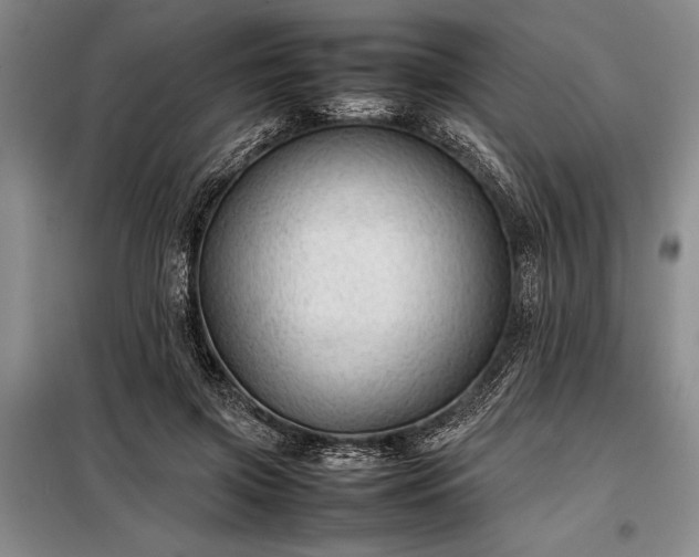 X0000098190549200805011126
