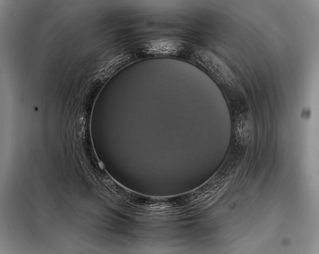 X0000098190551200805011126