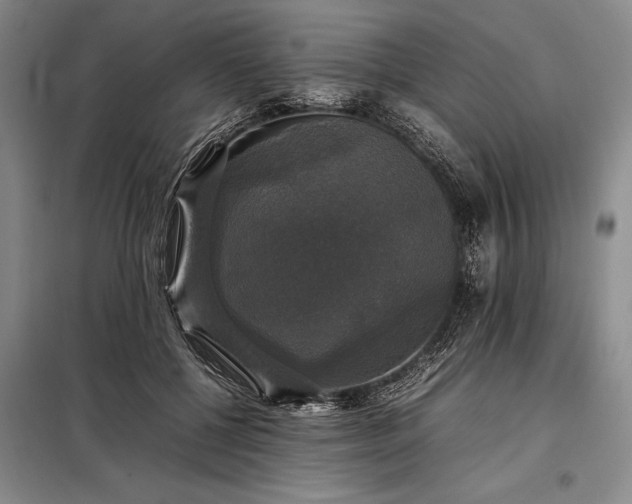 X0000098190552200805011126