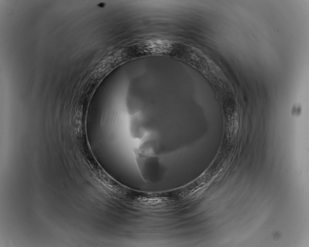 X0000098190553200805011126