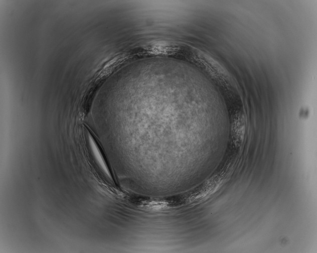 X0000098190554200805011126