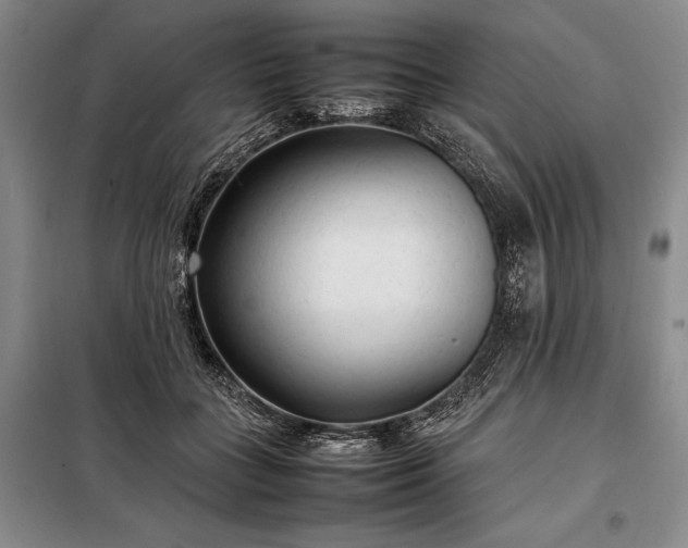 X0000098190555200805011126