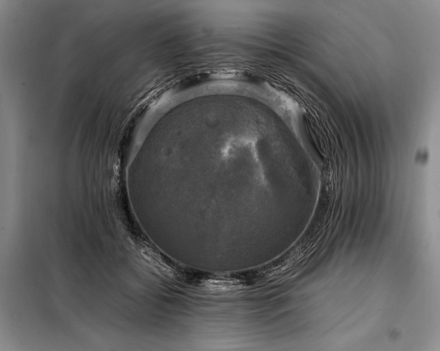 X0000098190556200805011126