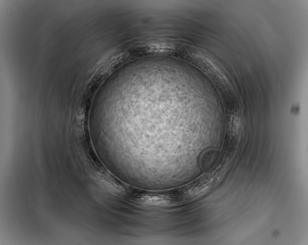 X0000098190557200805011126