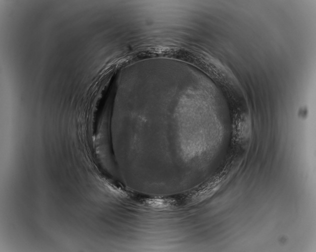X0000098190558200805011126
