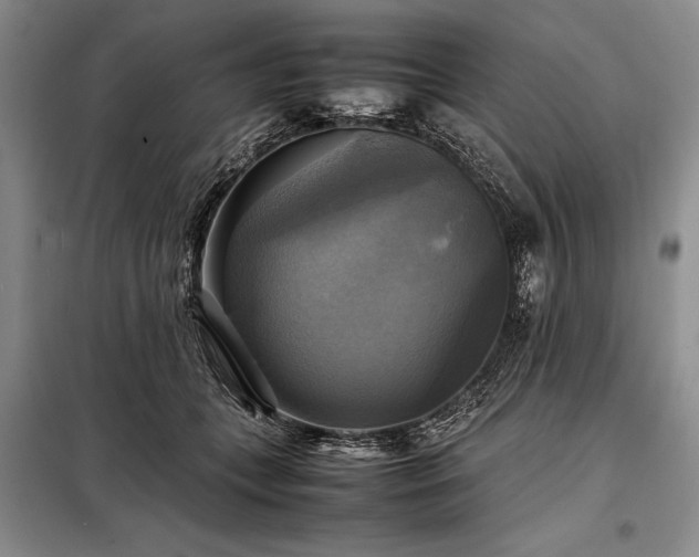 X0000098190559200805011126