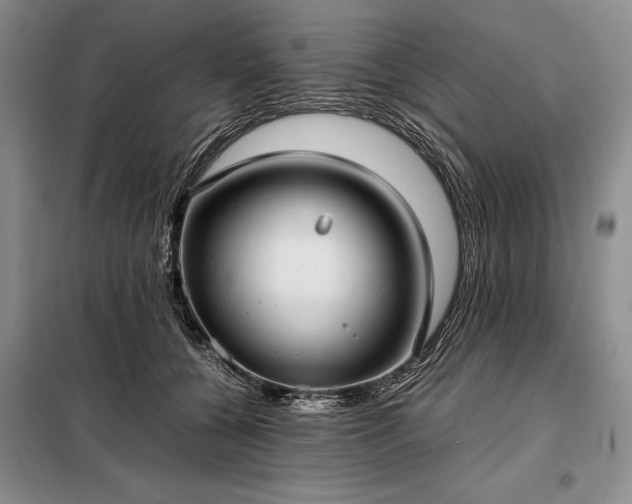 X0000098190560200805011126