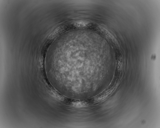 X0000098190561200805011126