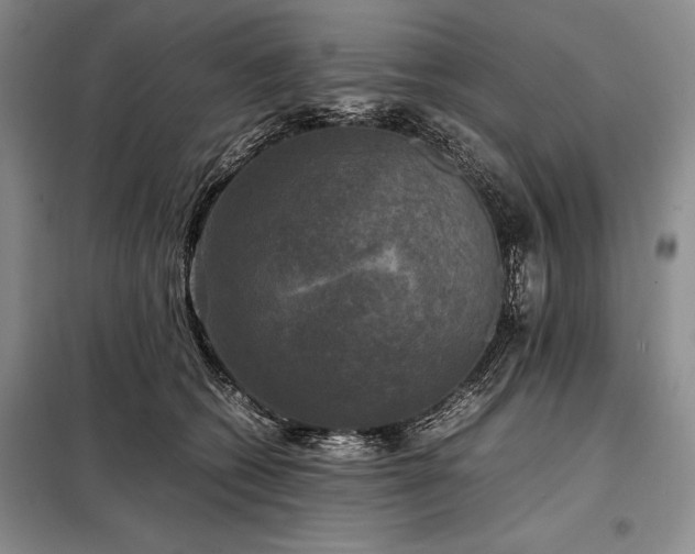 X0000098190562200805011126