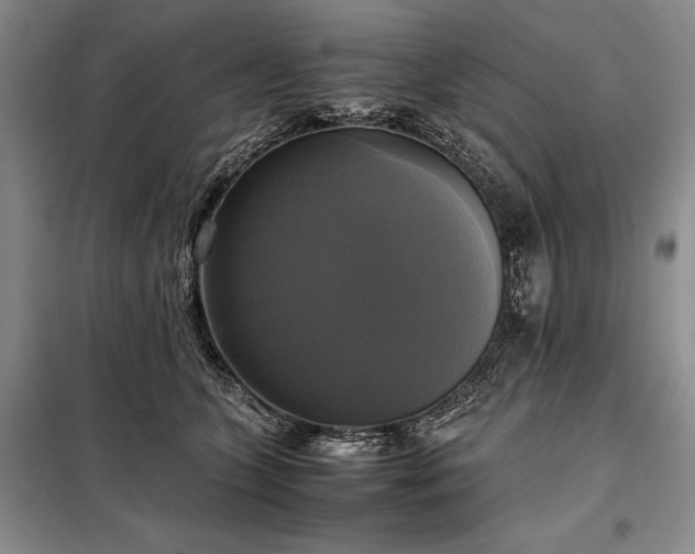 X0000098190563200805011126
