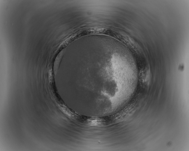 X0000098190564200805011126