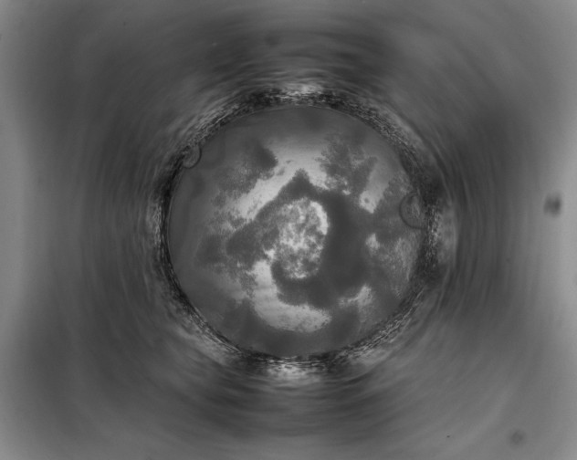 X0000098190565200805011126