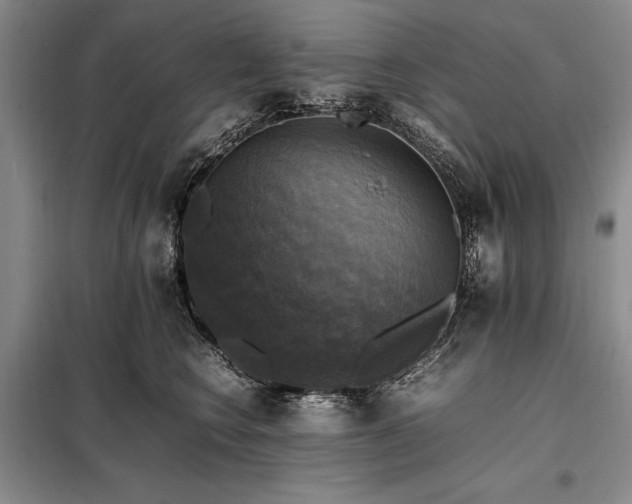 X0000098190566200805011126