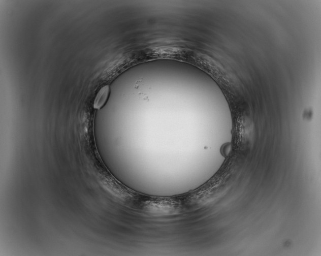 X0000098190567200805011126