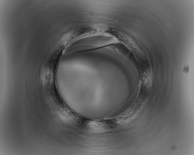 X0000098190568200805011126