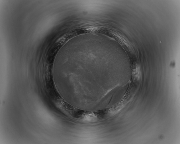 X0000098190572200805011126