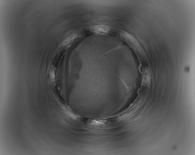 X0000098190573200805011126