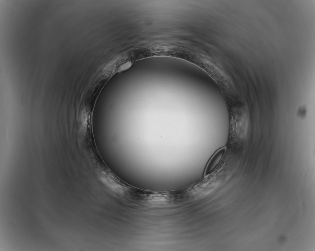 X0000098190574200805011126
