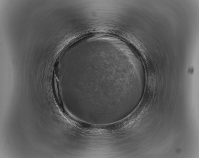X0000098190577200805011125