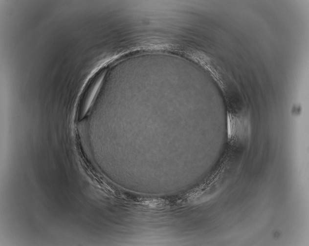 X0000098190579200805011125