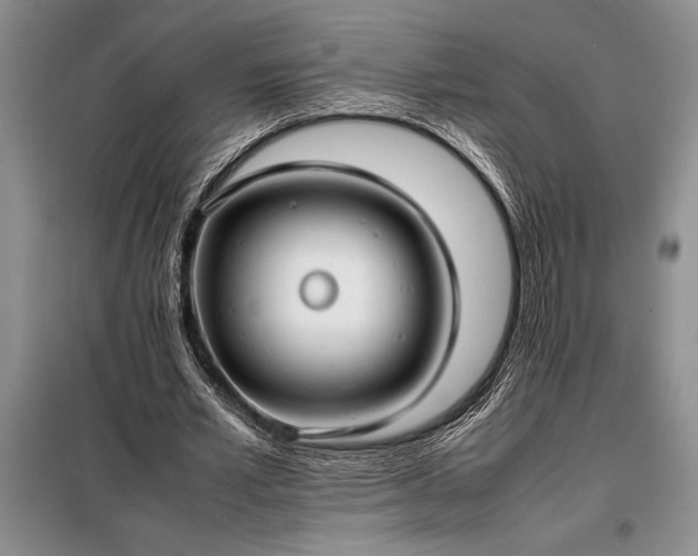 X0000098190581200805011125