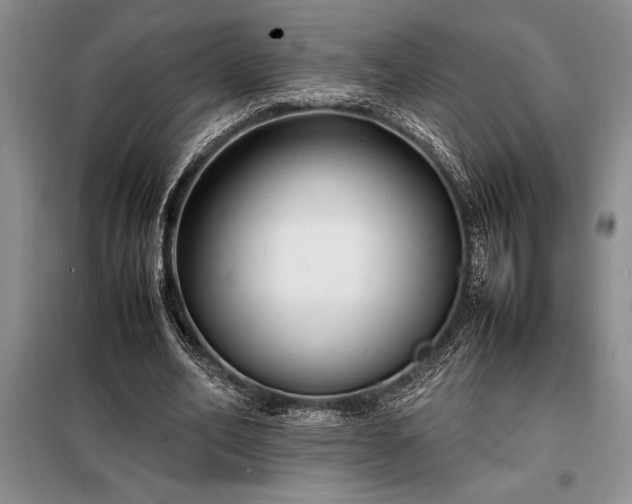 X0000098190582200805011125