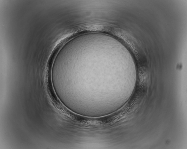 X0000098190583200805011125