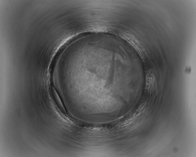 X0000098190584200805011125