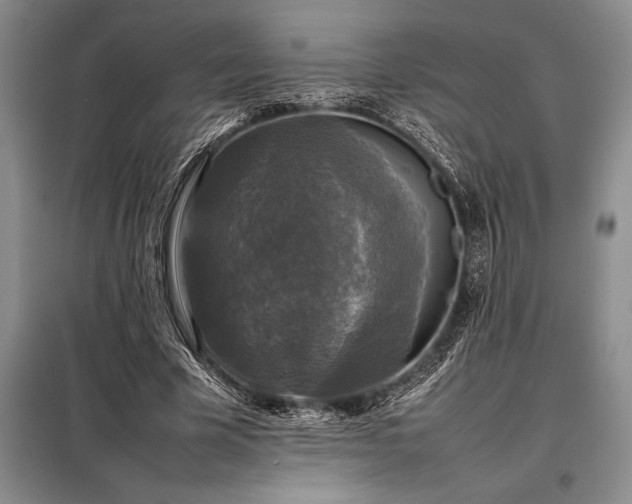 X0000098190585200805011125
