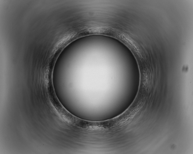 X0000098190586200805011125