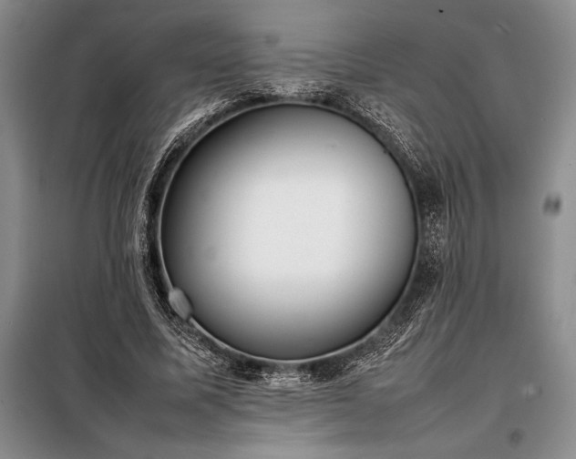 X0000098190587200805011125