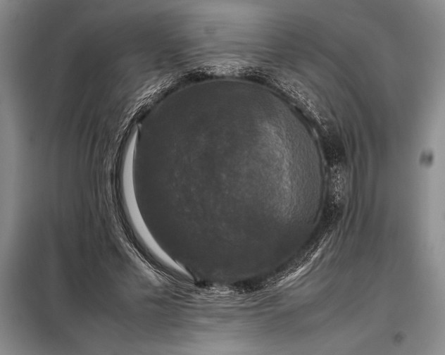 X0000098190589200805011125