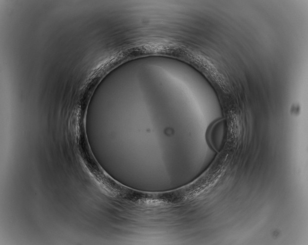 X0000098190590200805011125
