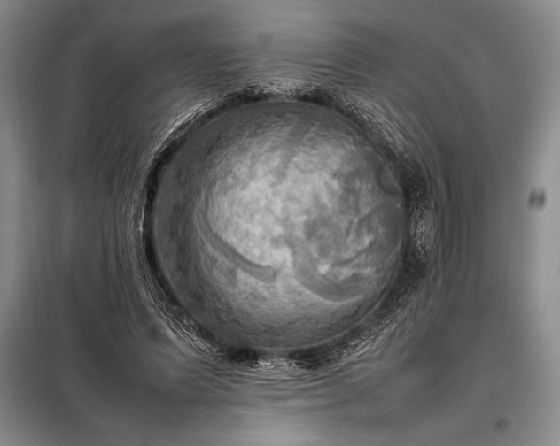 X0000098190591200805011125