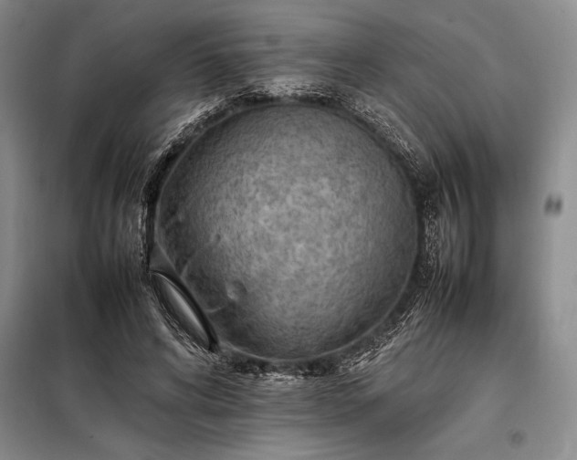X0000098190592200805011125