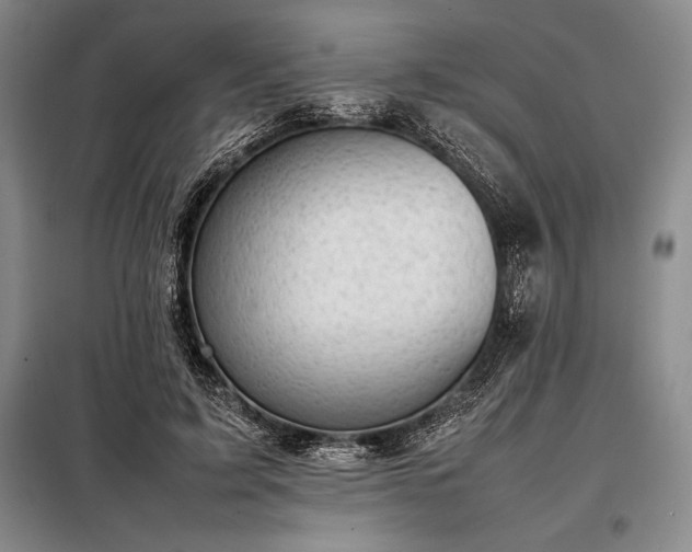 X0000098190595200805011125