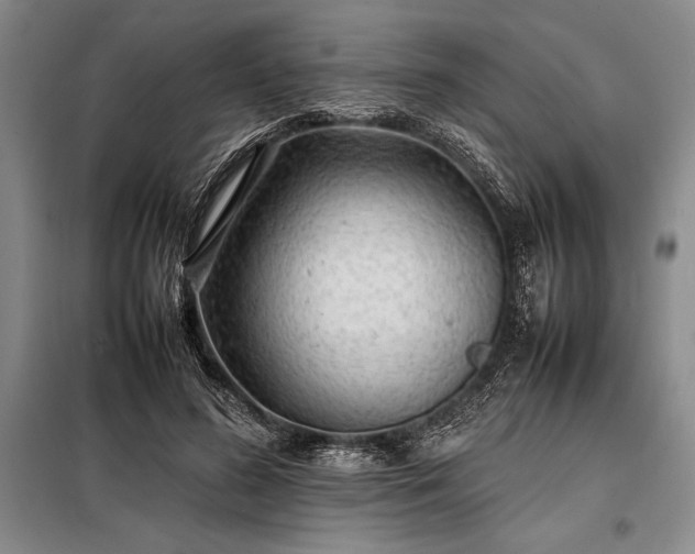 X0000098190596200805011125