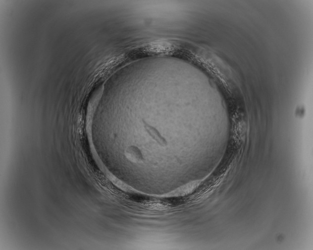 X0000098190597200805011125