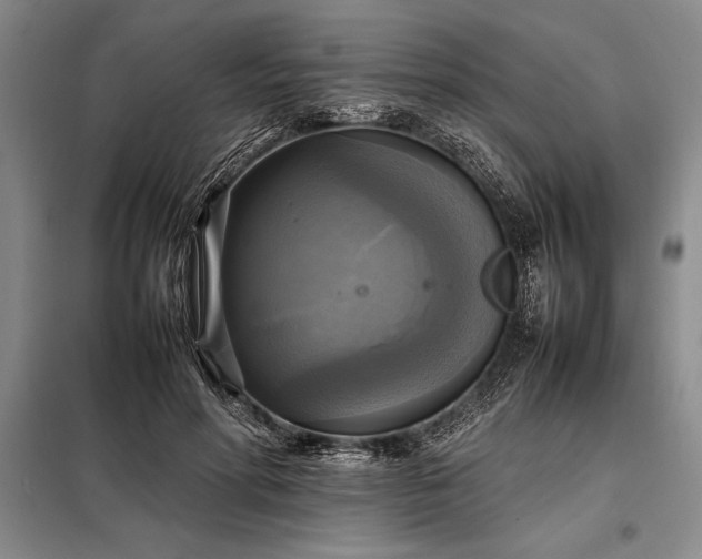 X0000098190598200805011125