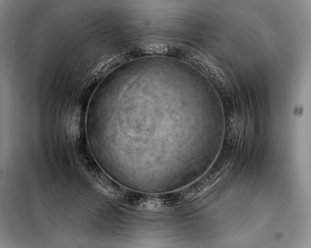 X0000098190600200805011125