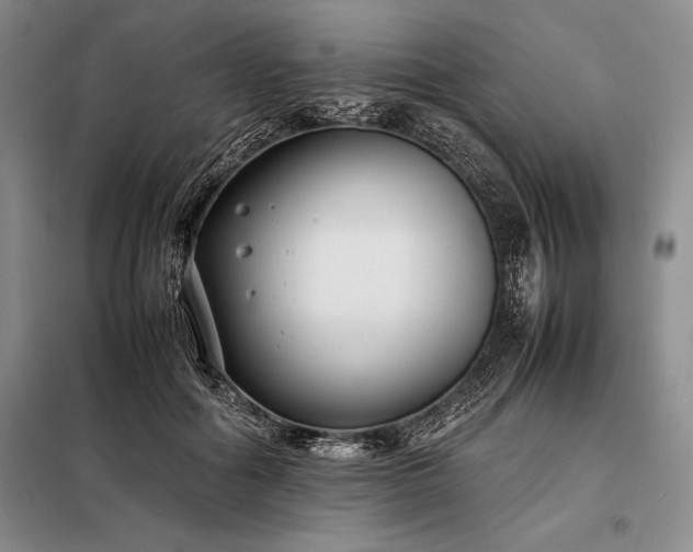 X0000098190602200805011125