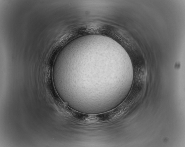 X0000098190603200805011125