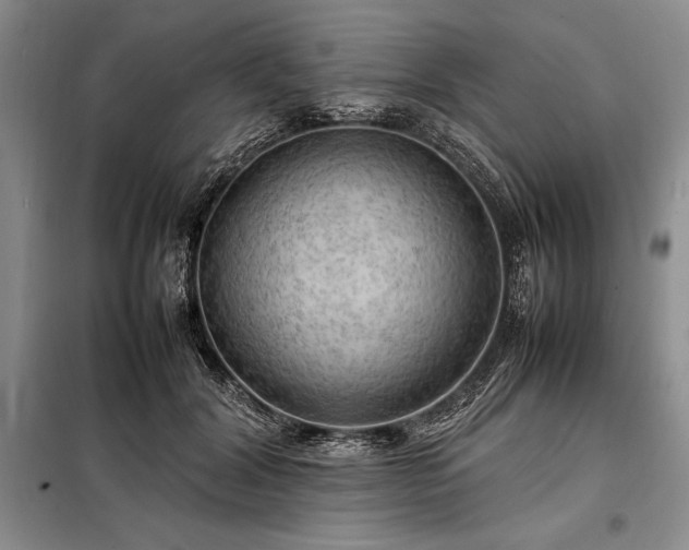 X0000098190604200805011125