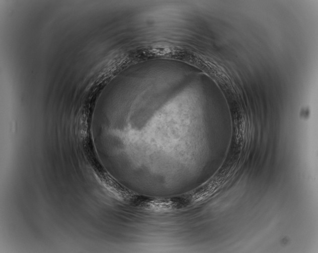 X0000098190606200805011125