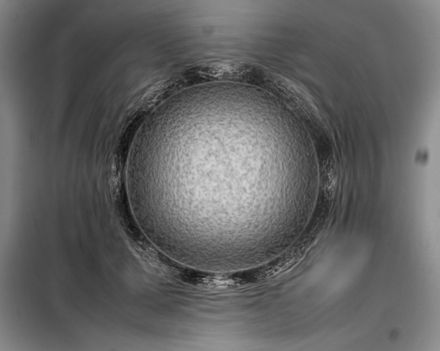 X0000098190607200805011125