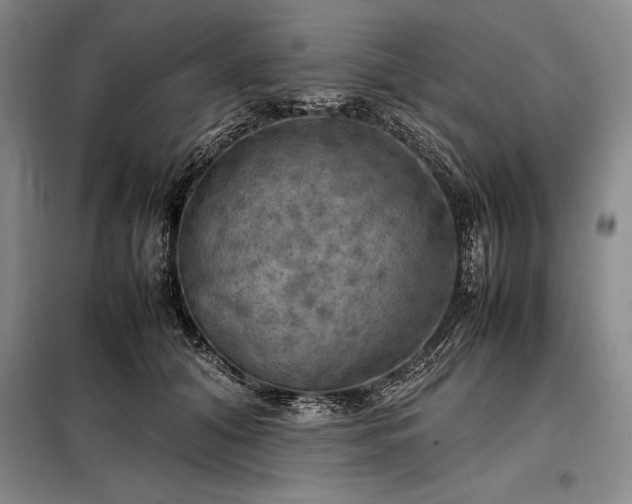 X0000098190608200805011125